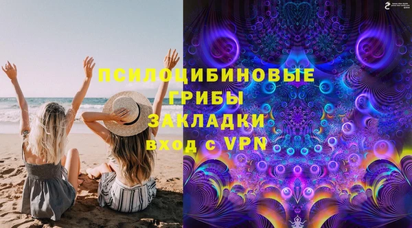 стафф Алзамай